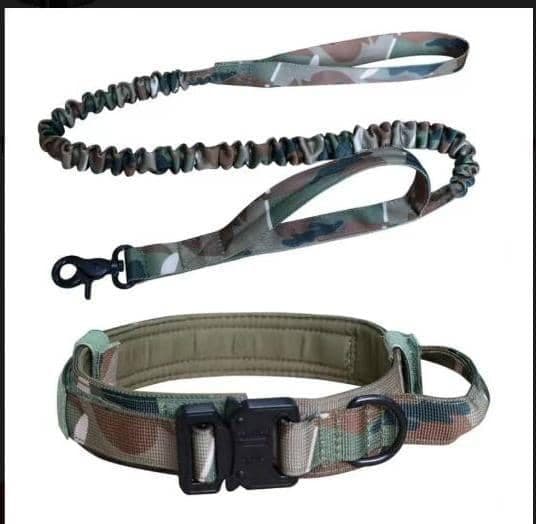 Dog leash with collar