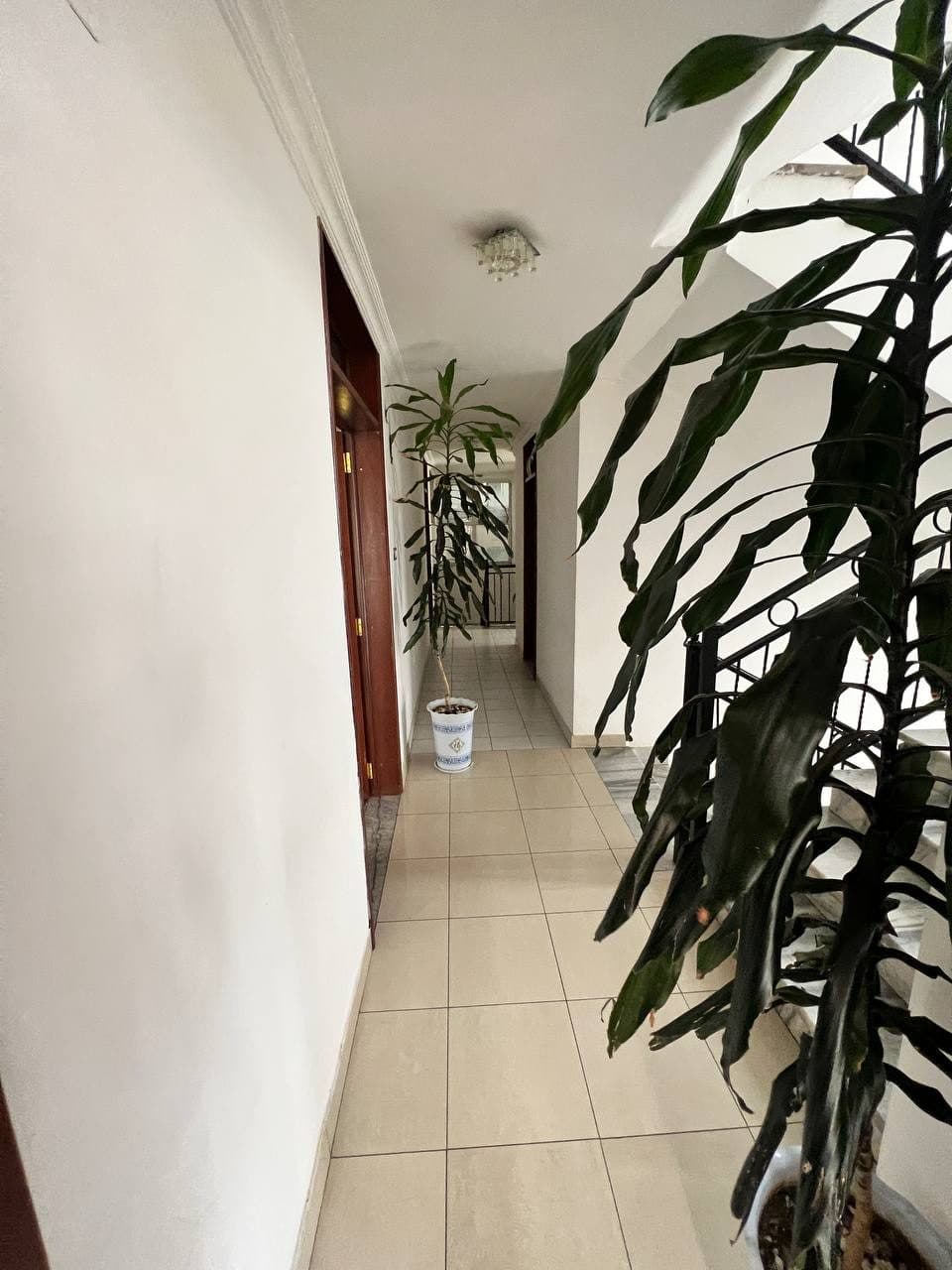 Furnished house for rent