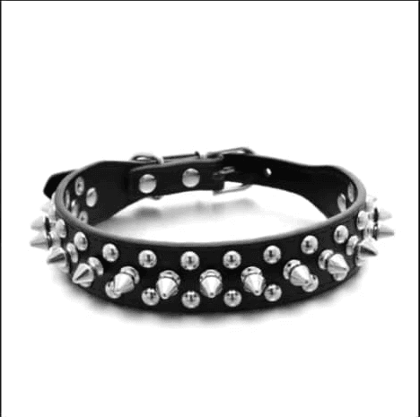 Dog collar