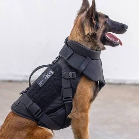 Tactical Dog Vest